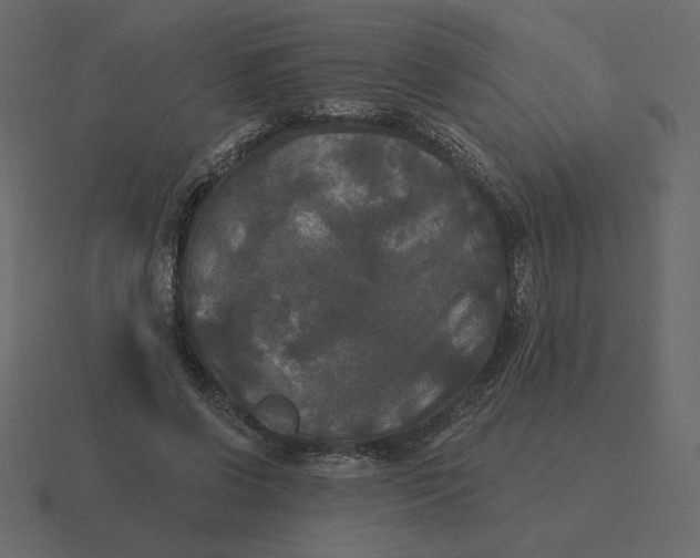 X0000116570542200912241636