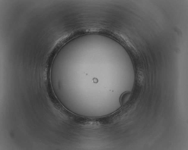 X0000116570543200912241636