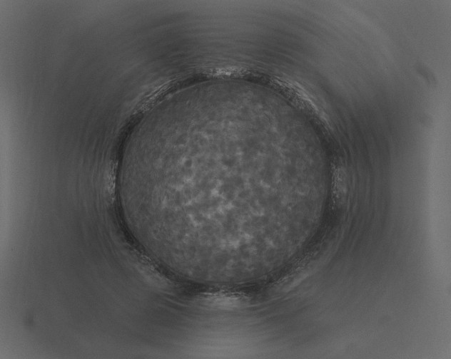 X0000116570545200912241636