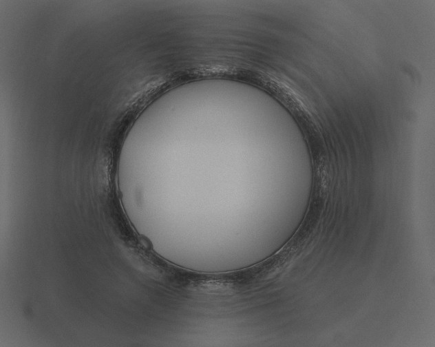 X0000116570546200912241636