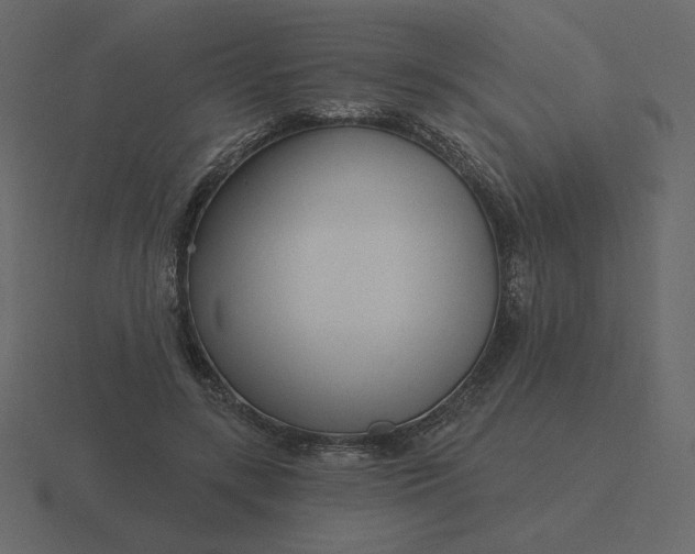 X0000116570547200912241636