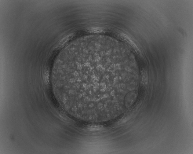 X0000116570549200912241636