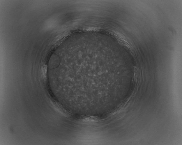 X0000116570550200912241636