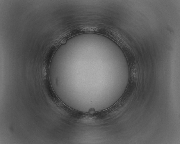 X0000116570551200912241636