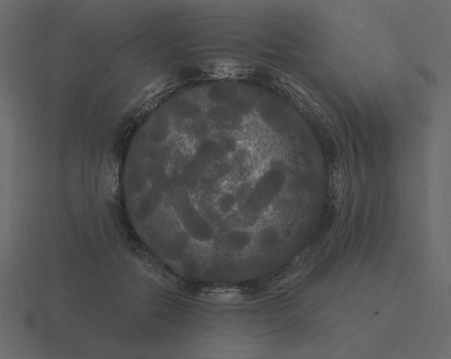 X0000116570554200912241636