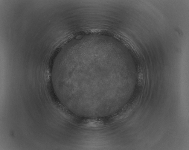 X0000116570555200912241636