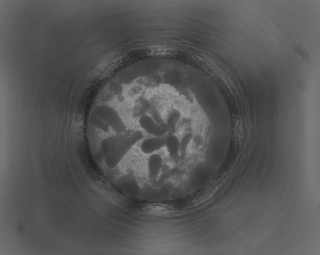 X0000116570557200912241637