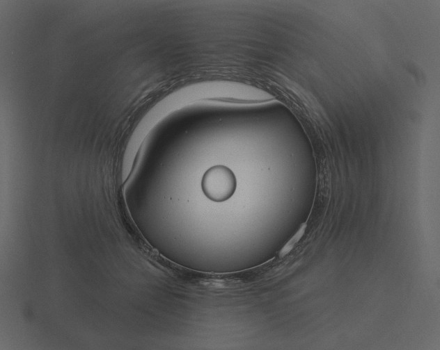 X0000116570558200912241637