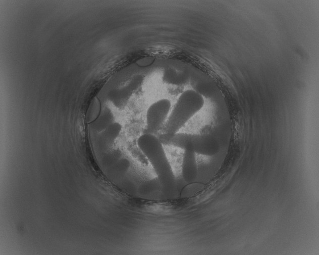 X0000116570561200912241637