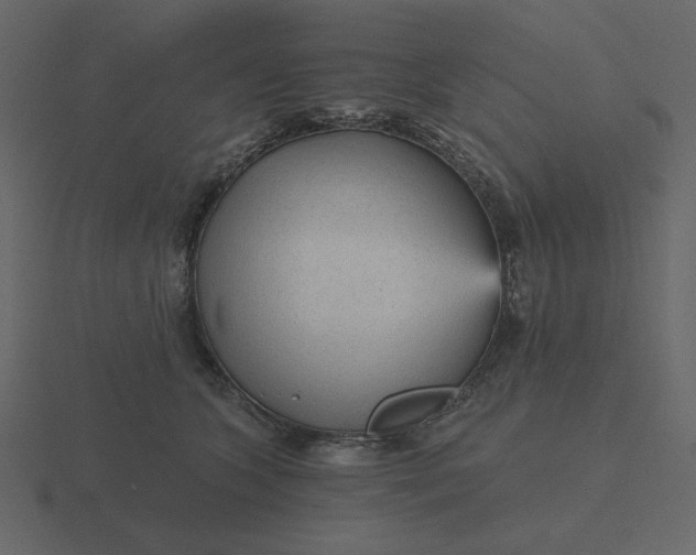 X0000116570563200912241637