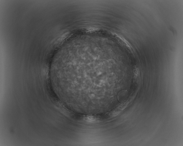 X0000116570565200912241637