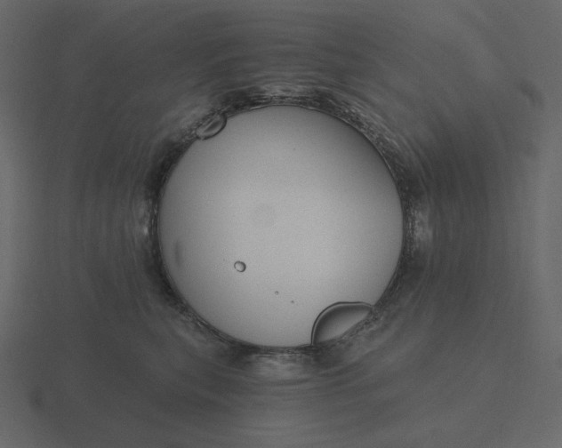 X0000116570567200912241637