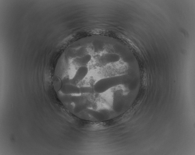 X0000116570569200912241637