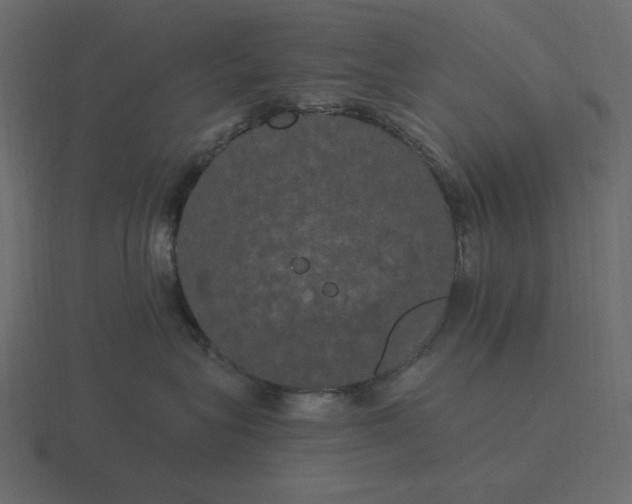 X0000116570575200912241637