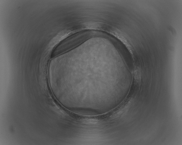 X0000116570577200912241636