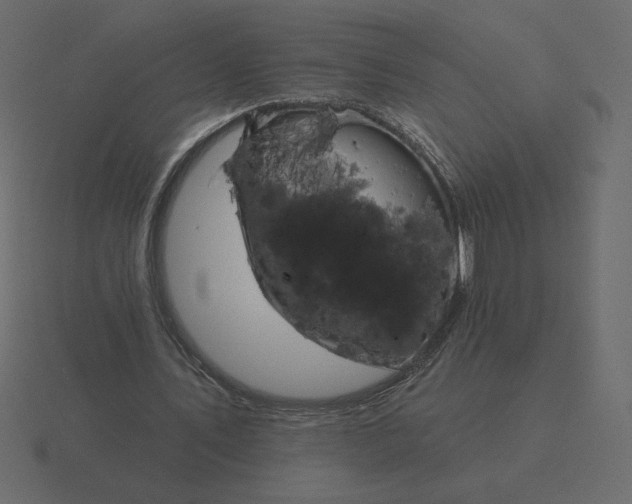 X0000116570579200912241636