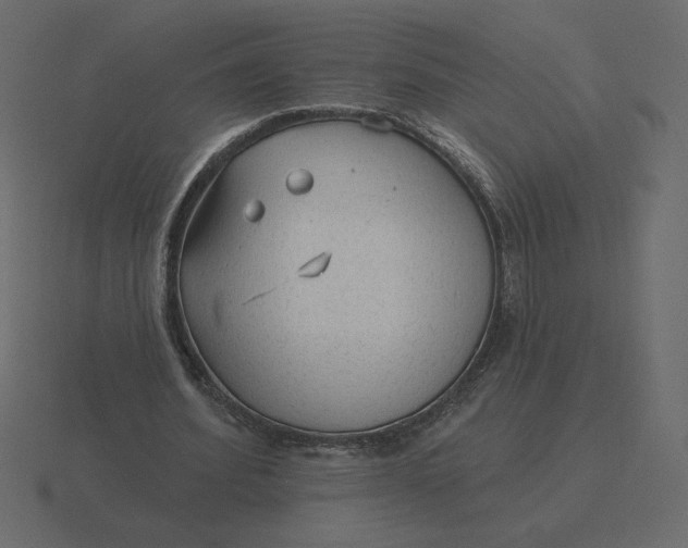 X0000116570580200912241636