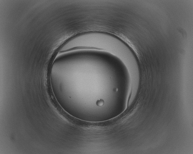 X0000116570581200912241636