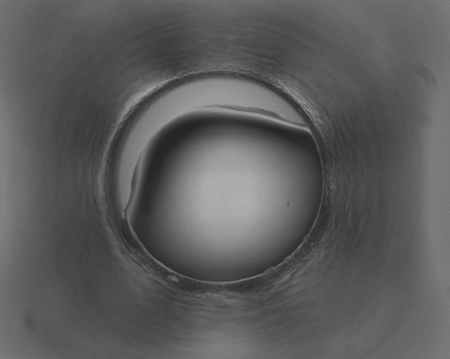 X0000116570583200912241636