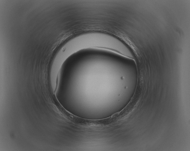 X0000116570585200912241636