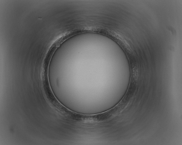 X0000116570587200912241636