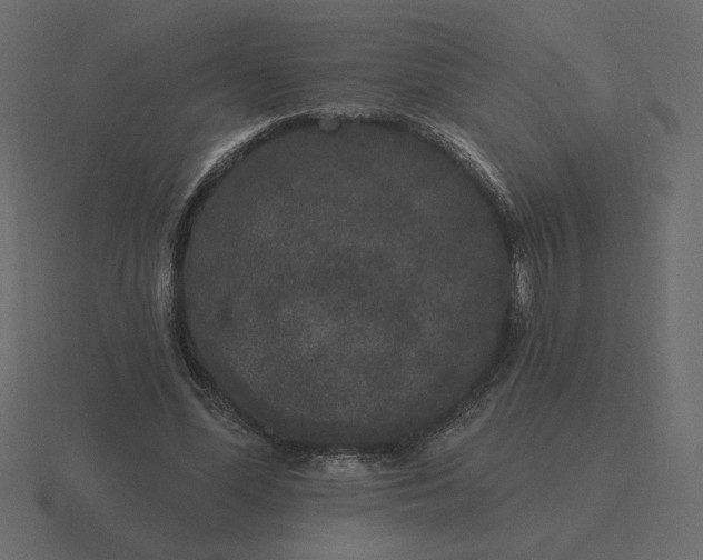 X0000116570588200912241636