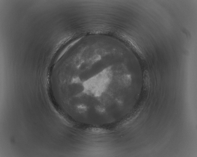 X0000116570590200912241636