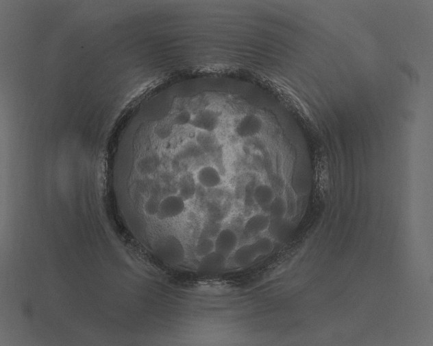 X0000116570591200912241636