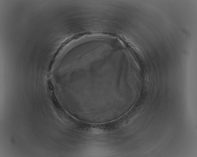 X0000116570592200912241636