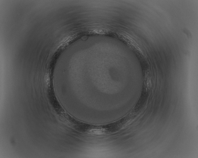 X0000116570595200912241636