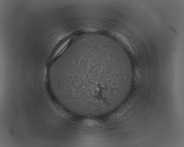 X0000116570596200912241636