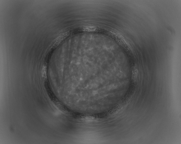 X0000116570598200912241636