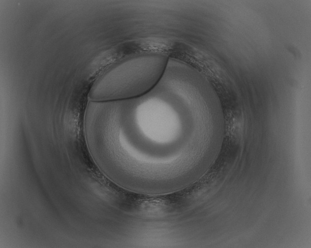 X0000116570599200912241636