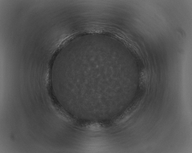 X0000116570600200912241636