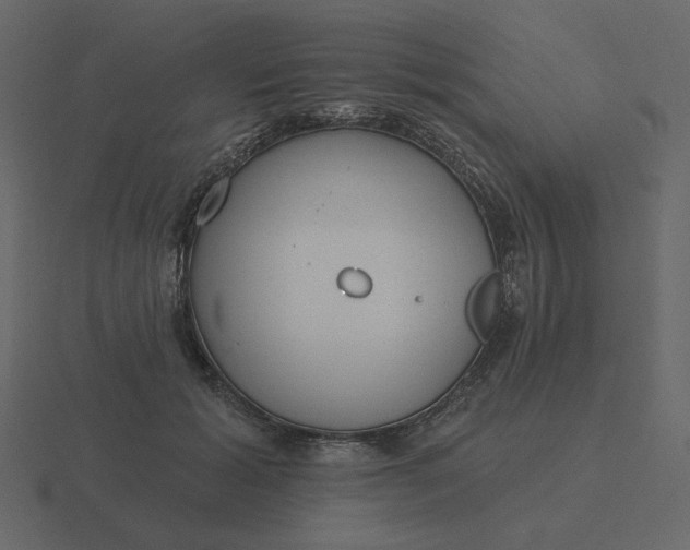 X0000116570605200912241636