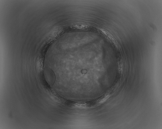 X0000116570606200912241636