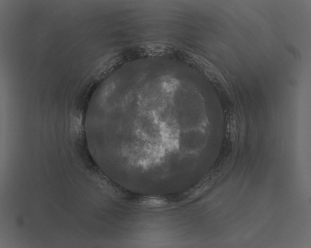 X0000116570610200912241636