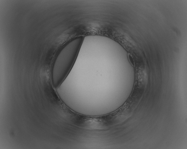 X0000116570611200912241636