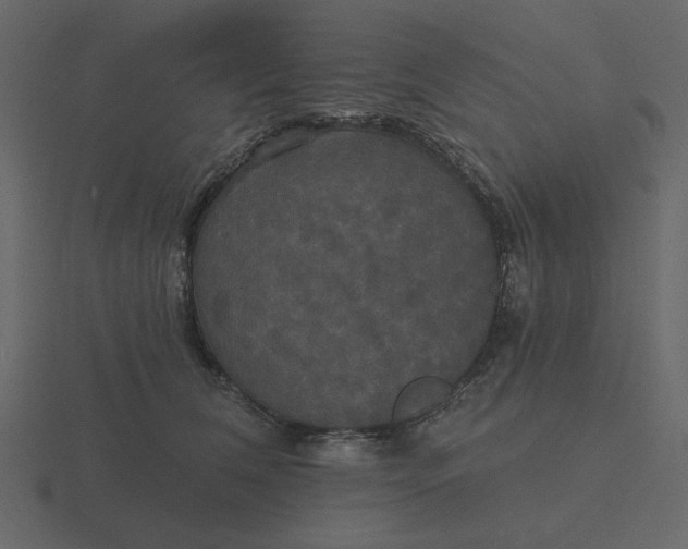 X0000116570612200912241636