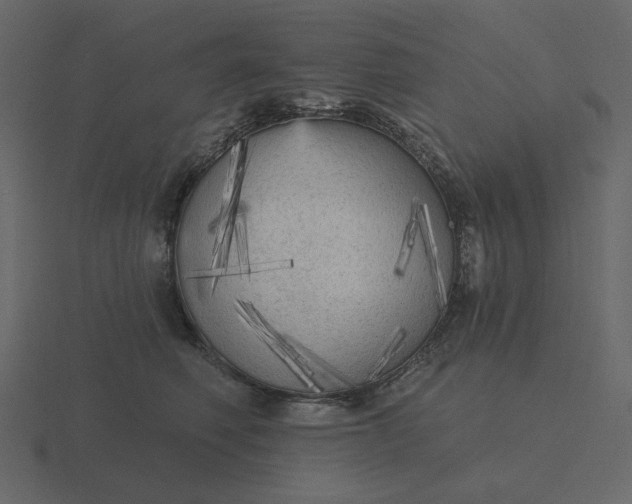 X0000116570614200912241636