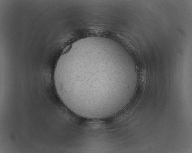 X0000116570615200912241636