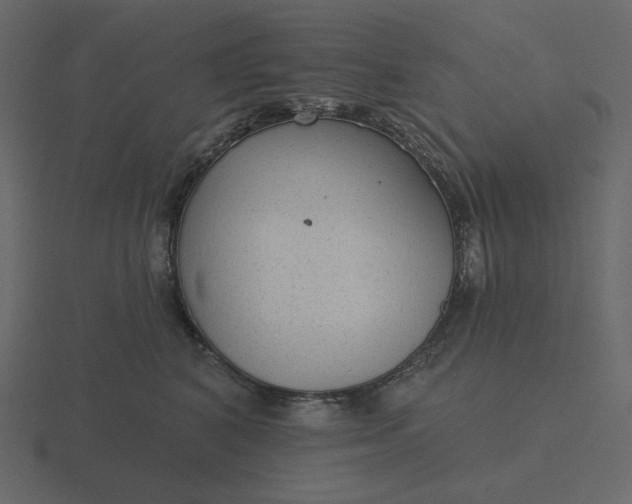 X0000116570616200912241636