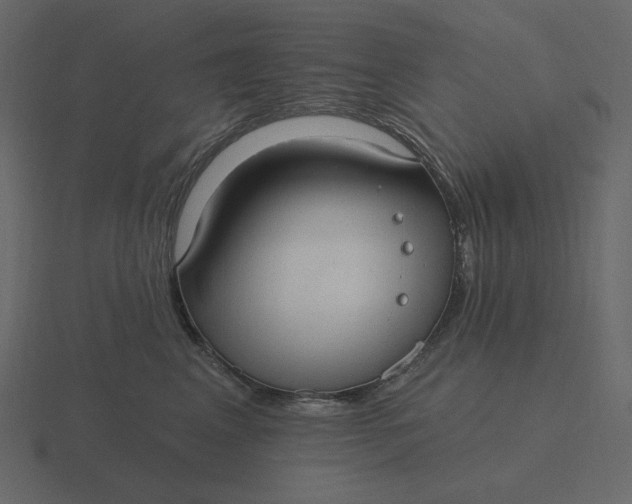 X0000116570617200912241636