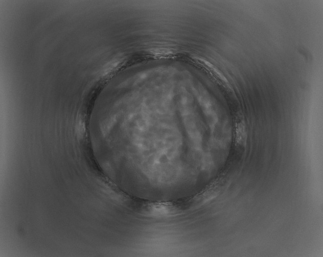 X0000116570618200912241636