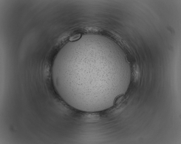 X0000116570619200912241636