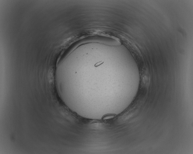 X0000116570620200912241636