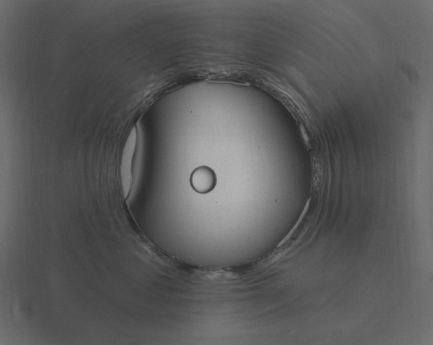 X0000116570621200912241636