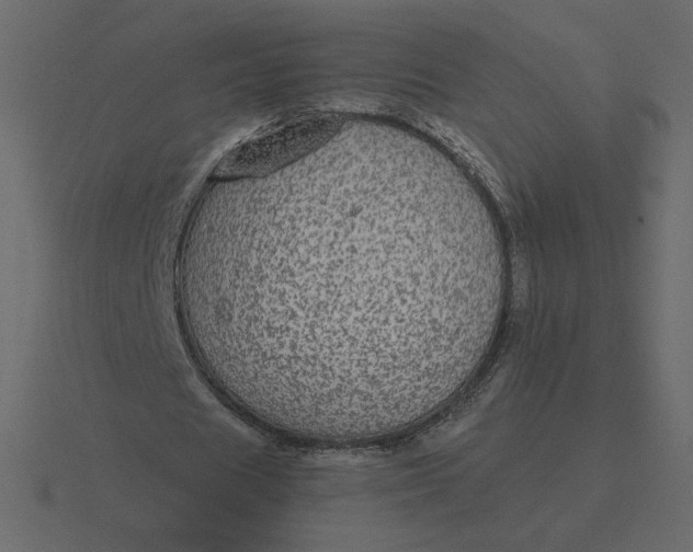 X0000116570625200912241635