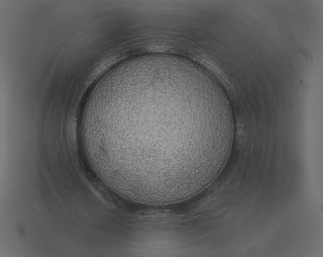 X0000116570626200912241635