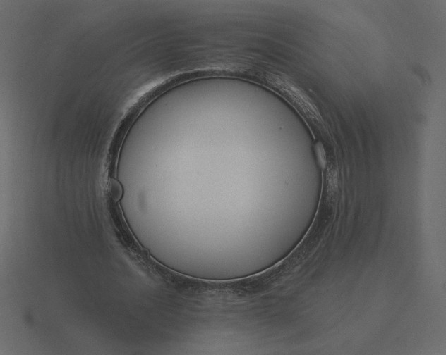 X0000116570628200912241635